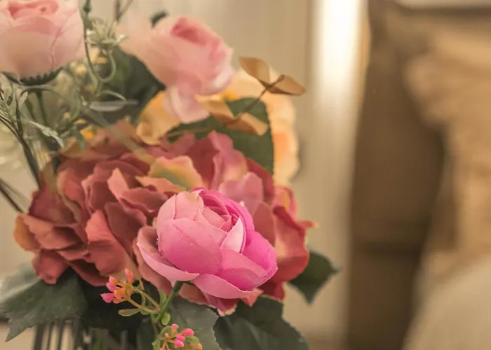 Belleview Boutique (adults Only) Hotel de apartamente Cluj-Napoca